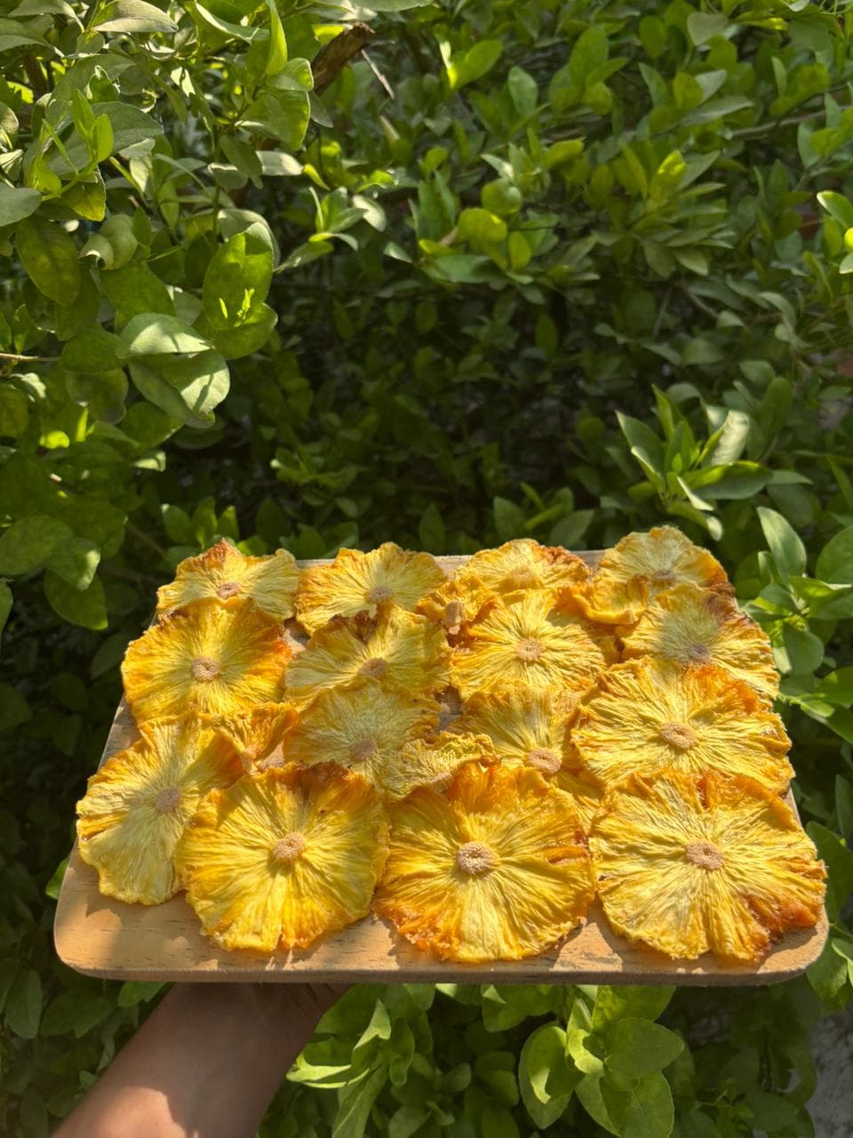 Piña deshidratada premium